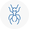 Ant Removals In Uckfield