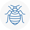 Bed Bug Extermination In Uckfield