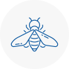 Bee Nest Removal Uckfield
