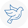 Bird Prevention Uckfield