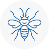 Uckfield Hornet Nest Removals