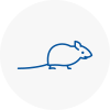 Mice Exterminators In Uckfield