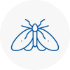 Moth Control Specialists In Uckfield