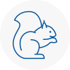 Uckfield Rodent Removals