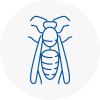 Uckfield Wasp Nest Removal